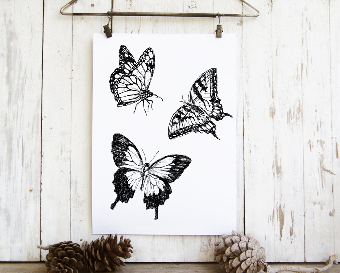 Butterfly Art Print, Black And White Nature Print - Image 3