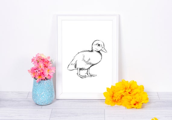 Black And White Unique Art Prints Farm Animal Print Nature Print Animal Cute Wall Art Duckling Print