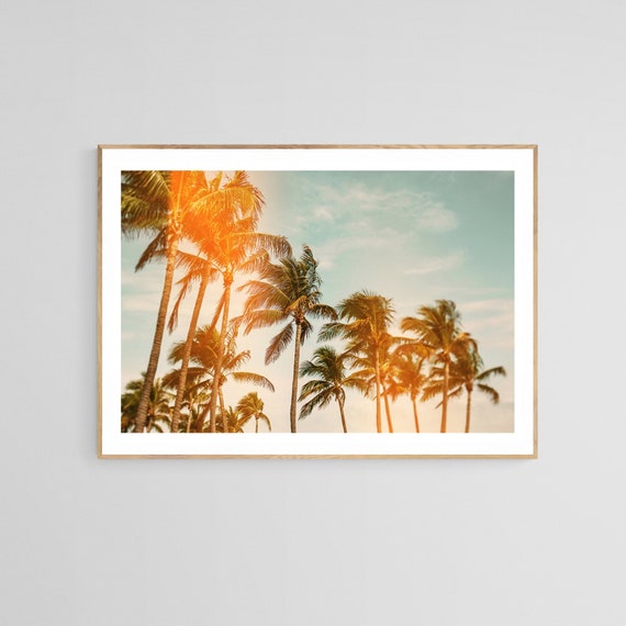 Palm Tree Tropical Photograph, Miami Breeze