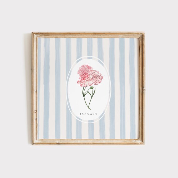 January Pink Carnation Birth Month Flower Blue Stripe Watercolor Gift Poster