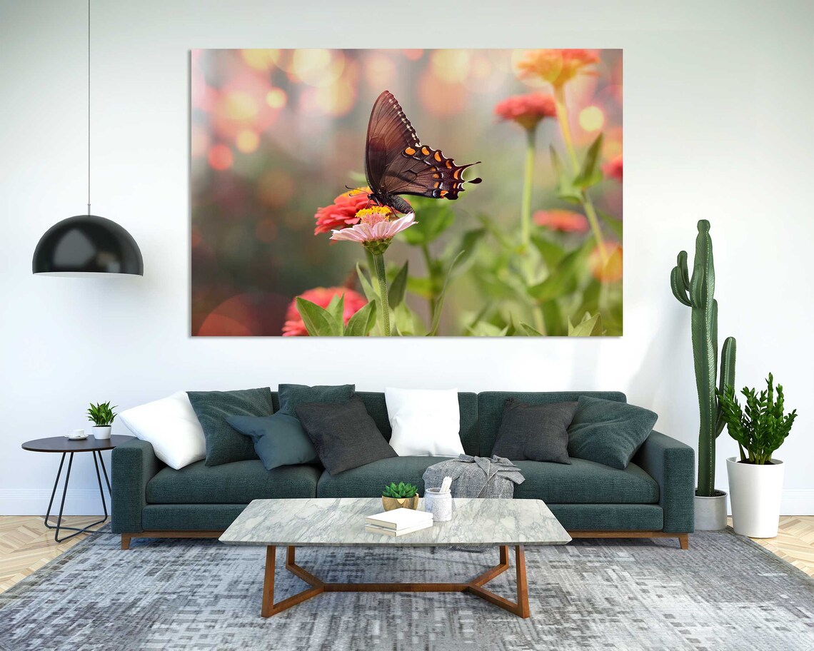 Dark Brown Butterfly On Pink Zinnia Flowers Bokeh Garden Wall Art - Image 5