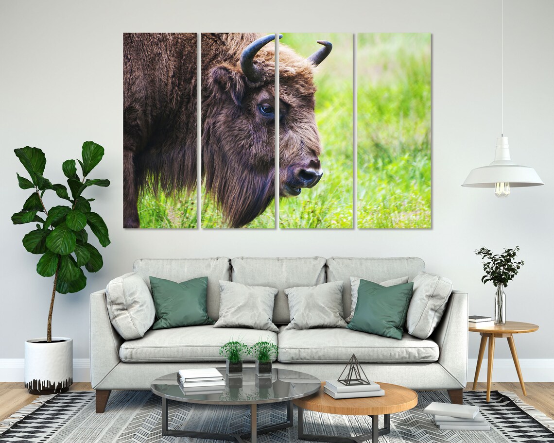 Bison Buffalo Closeup Portrait Wild Animal Wildlife Art Print - Image 8