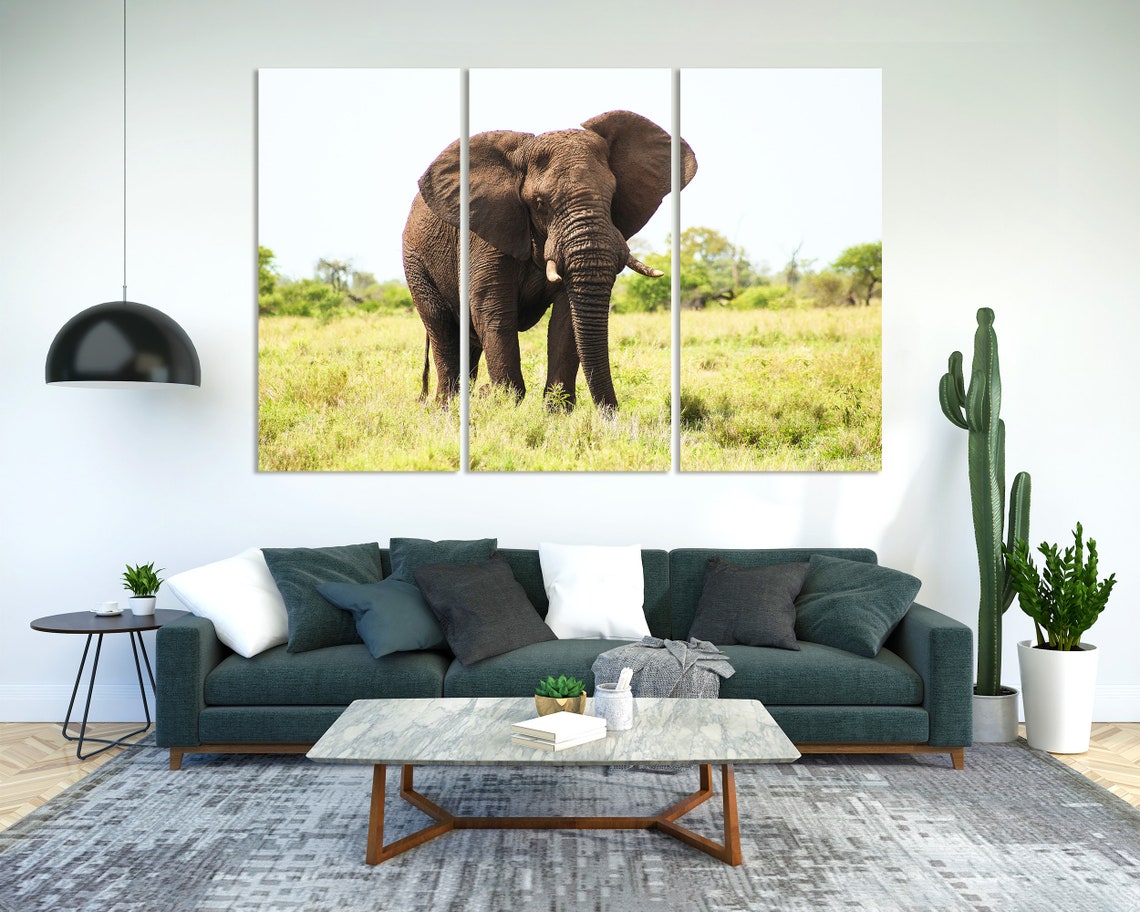 African Elephant Walking Grassland Savanna Wildlife Photography Poster - Image 2