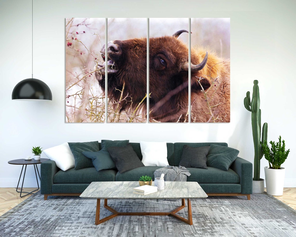 Buffalo Bison Eating Berries Closeup Wild Animal Wildlife Poster - Image 8