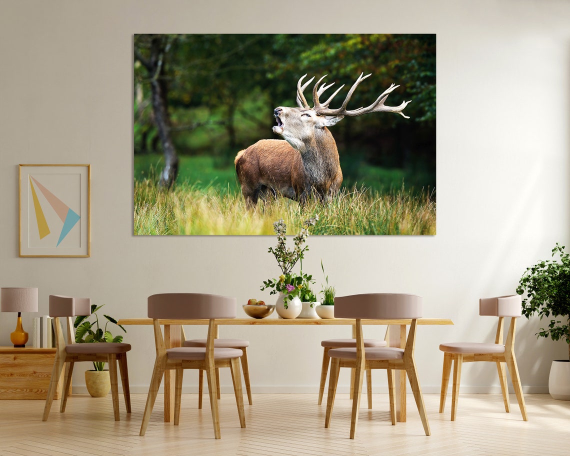 Red Deer Stag Bellowing In Meadow Wild Antlers Wildlife Photo Poster - Image 6
