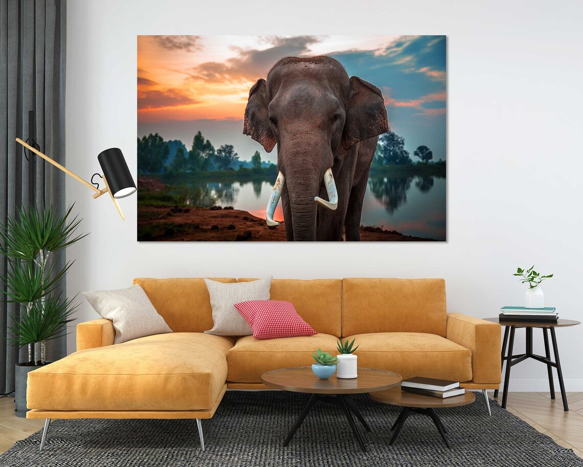 Elephant With Tusks At Sunset By The Lake Wildlife Photo Poster - Image 5