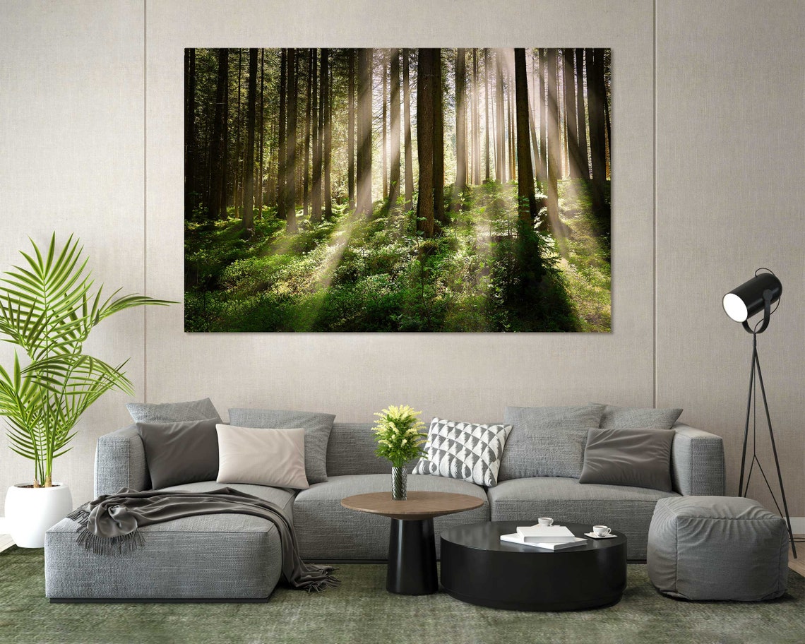 Sunlight Rays Through Tall Forest Trees Three Panel Nature Poster - Image 7
