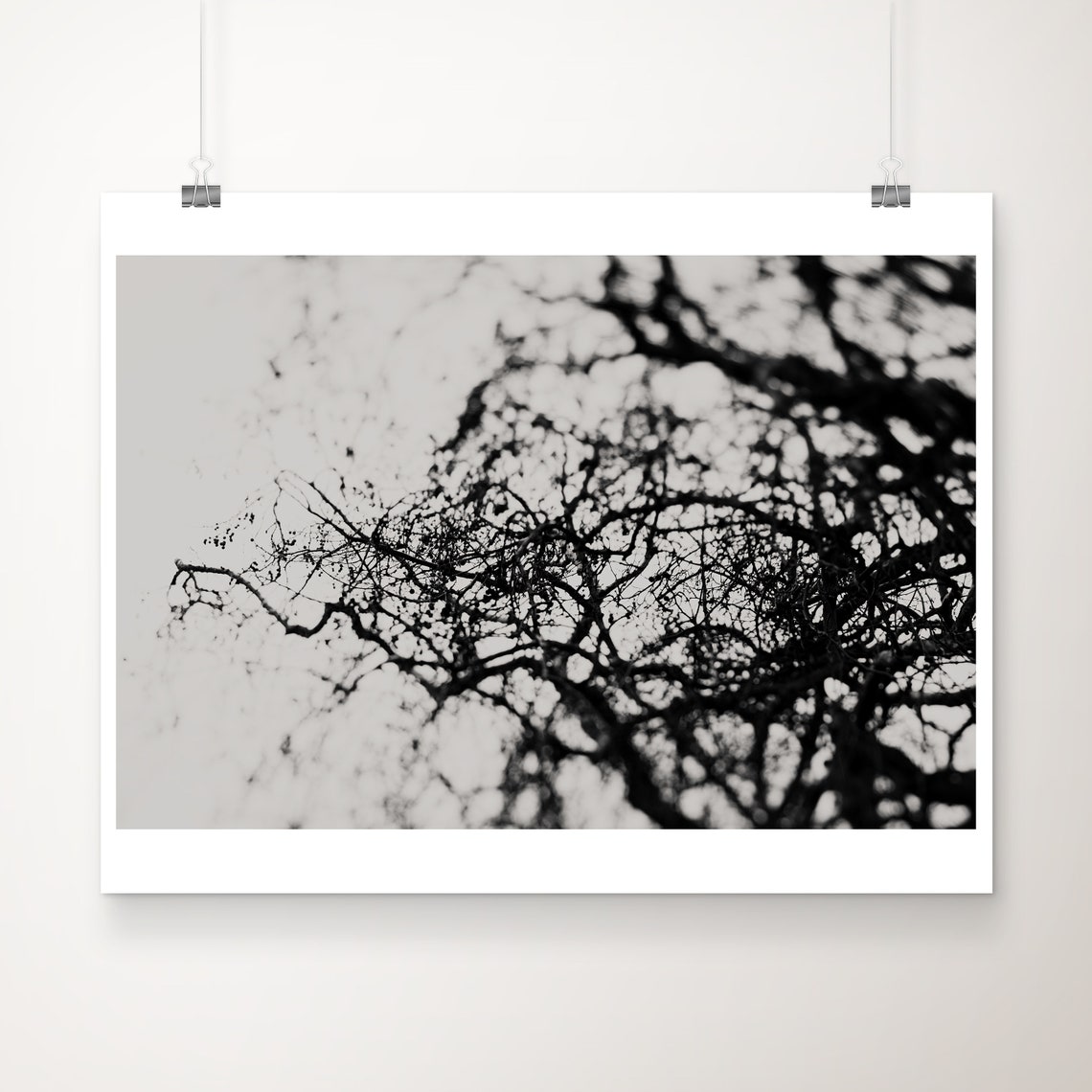 Black And White Tree Photograph Surreal Abstract Botanical Print