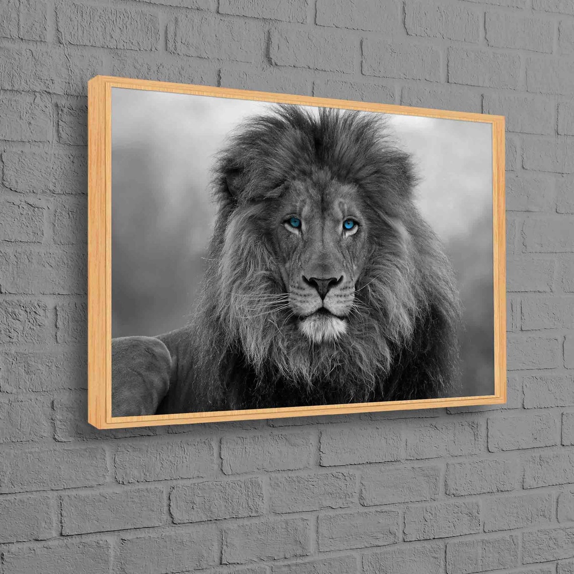 Black And White Lion With Striking Blue Eyes Wildlife Art Poster