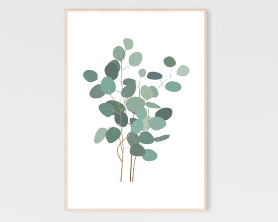 Eucalyptus Plant Abstract Botanical Art Print