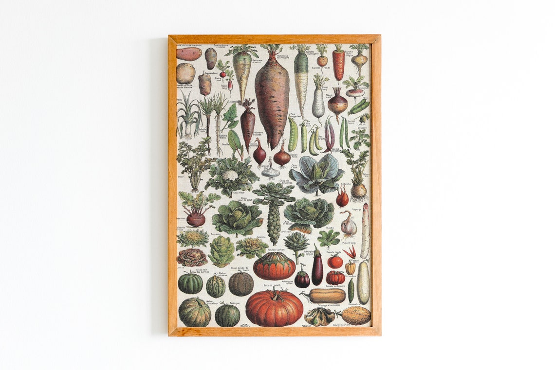 Vintage French Vegetable Botanical Chart Retro Kitchen Garden Poster - Image 2