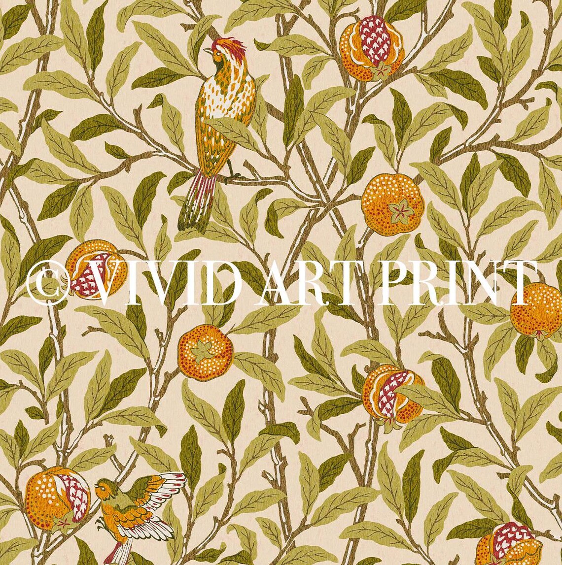 Vintage Botanical Pomegranate Birds Art Print - Image 4