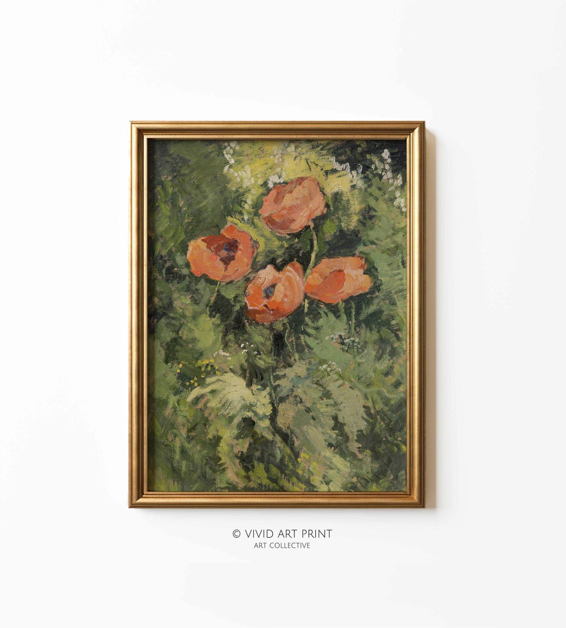Wild Poppy Vintage Art Print, Botanical Floral
