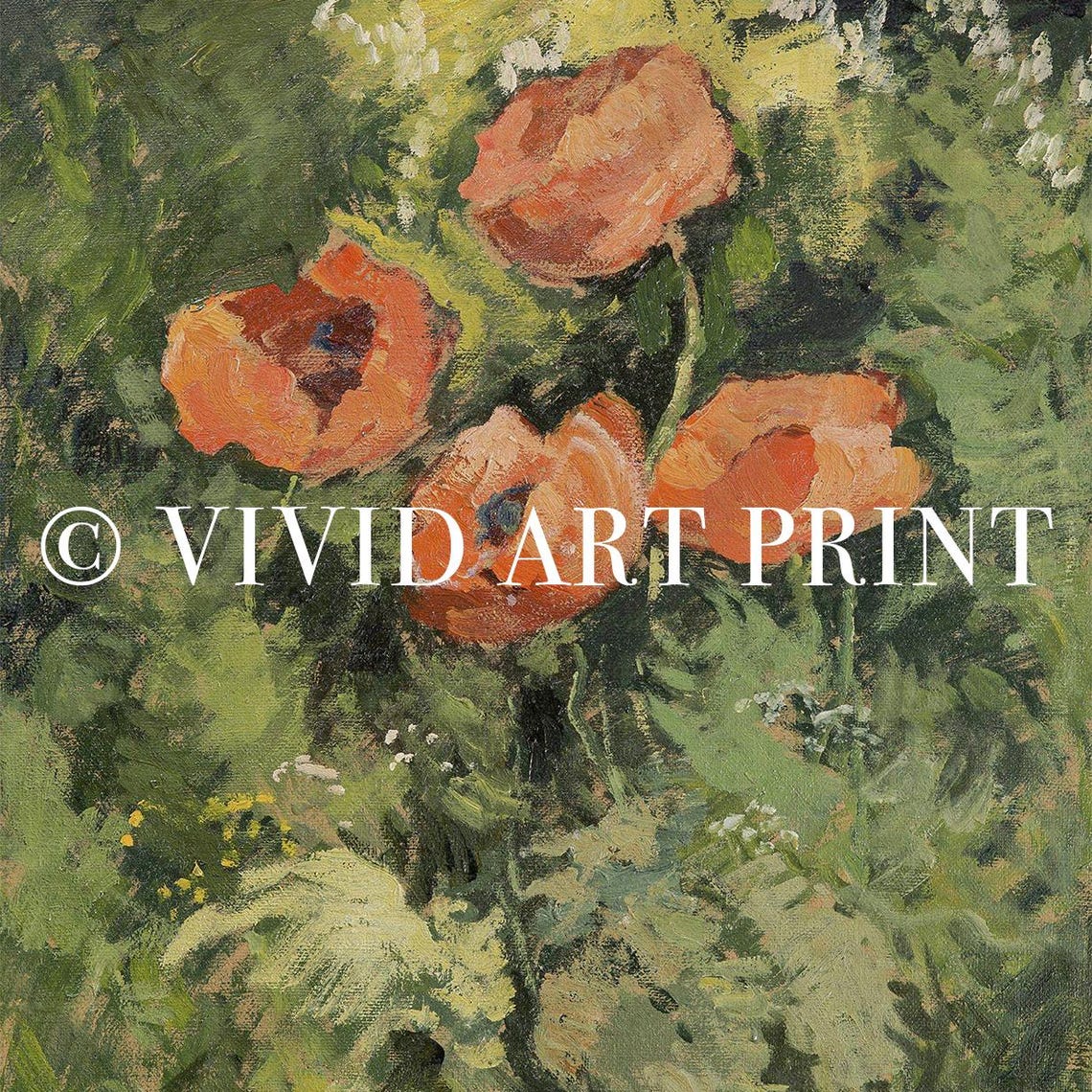Wild Poppy Vintage Art Print, Botanical Floral - Image 4