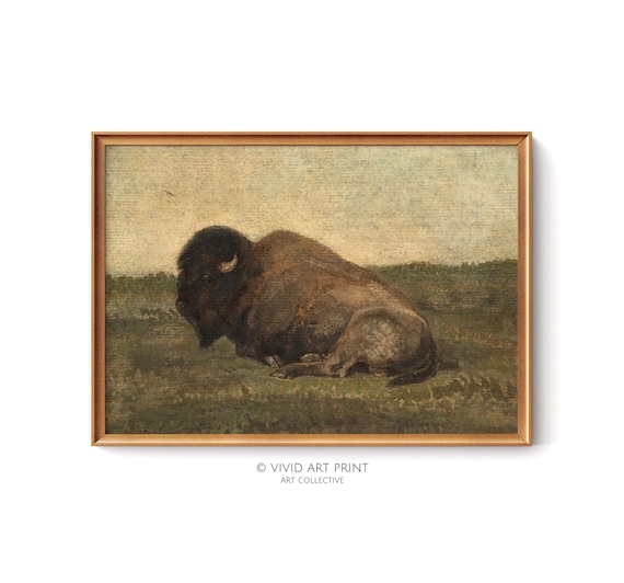 Lone Resting Bison Oil Painting Antique Prairie Wildlife Art Poster