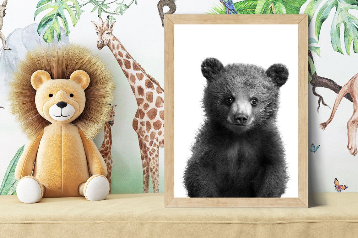 Fluffy Black Bear Cub Portrait in Black and White Nursery Poster