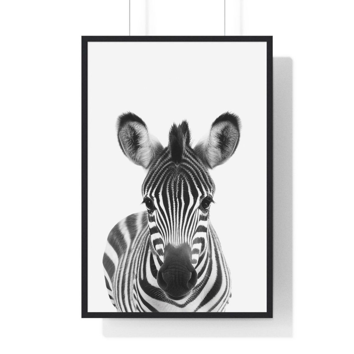 Baby Zebra Foal Portrait in Black and White Nursery Style Poster - Image 2