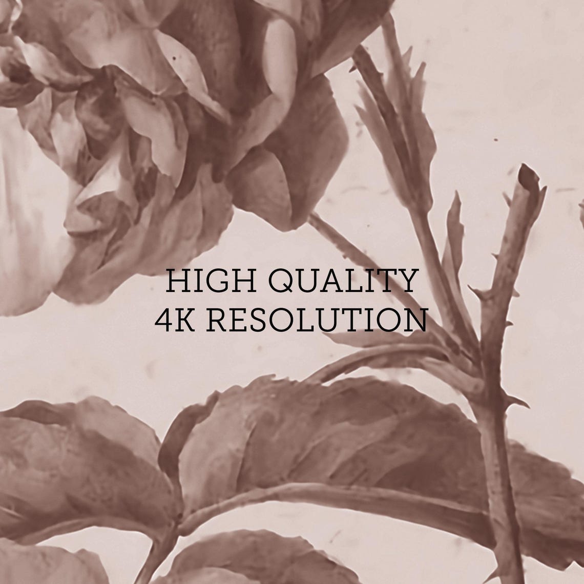 Vintage Rose Botanical Sketch Sepia Floral Study Antique Wall Art - Image 2