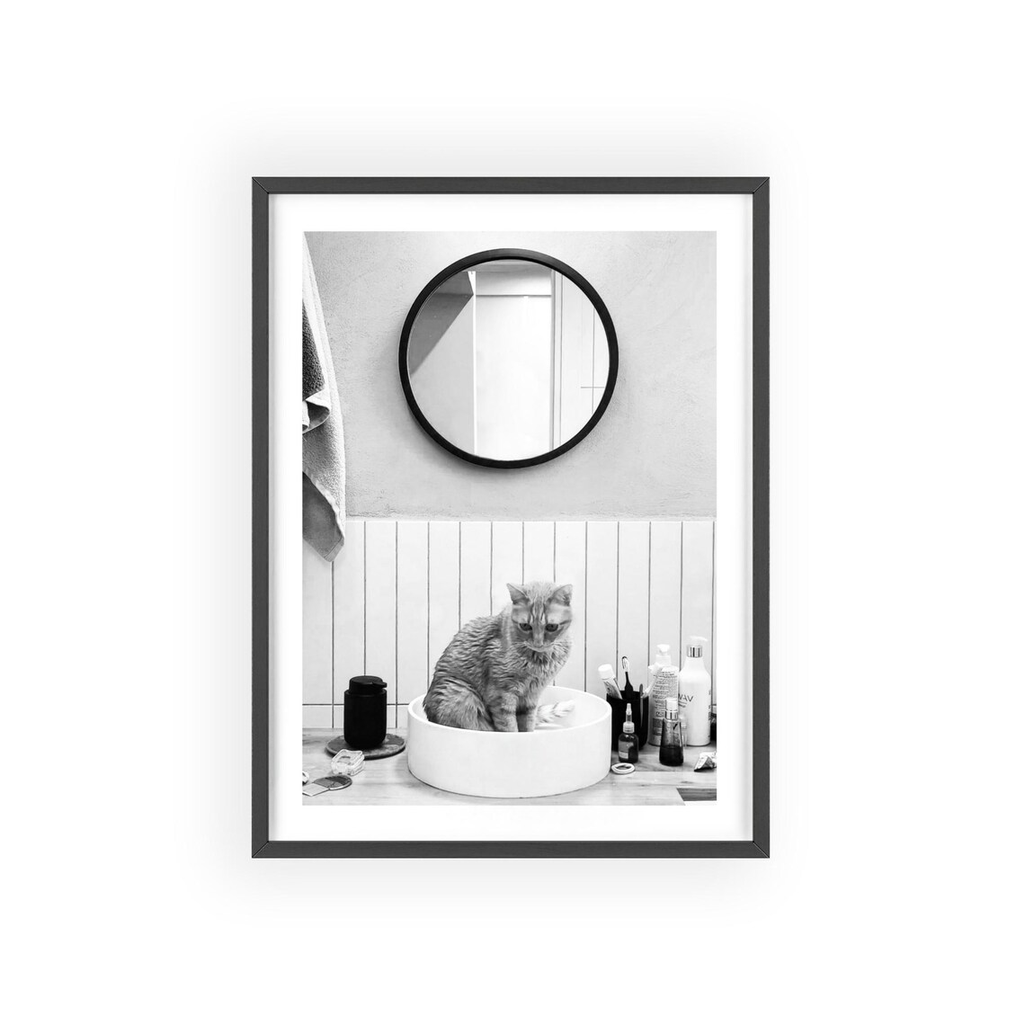 Funny Cat Reflective Photograph, Bathroom Decor