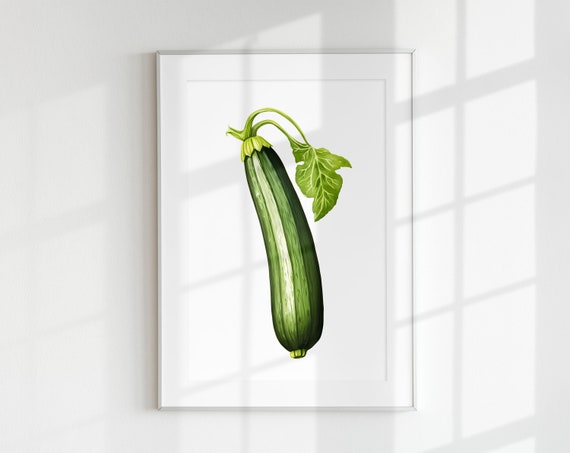 Zucchini Botanical Vintage Kitchen Art Print
