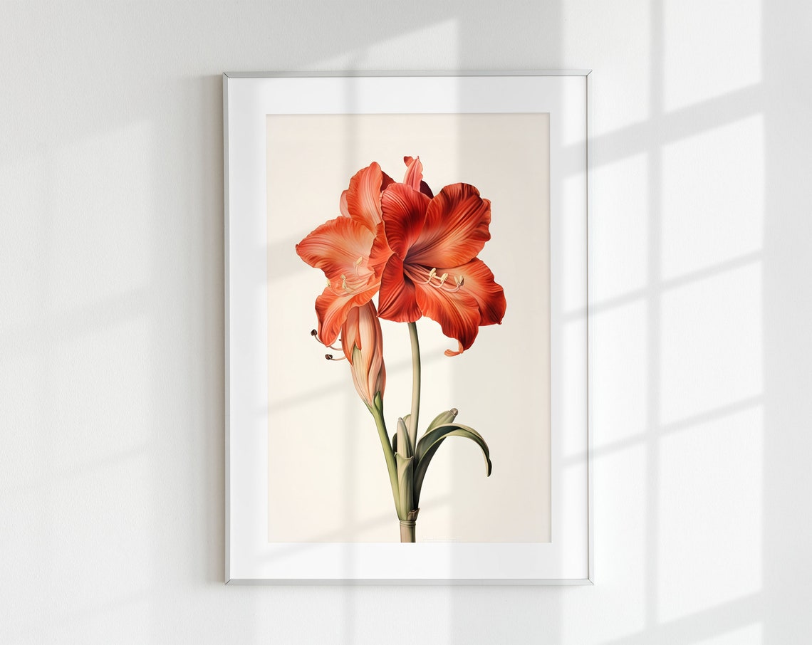 Vintage Amaryllis Botanical Art Print