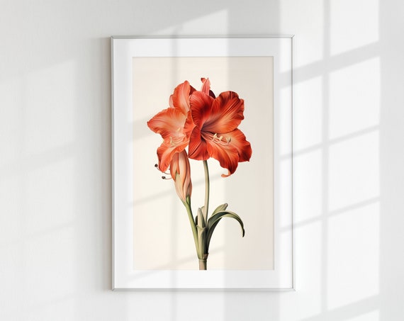 Vintage Amaryllis Botanical Art Print