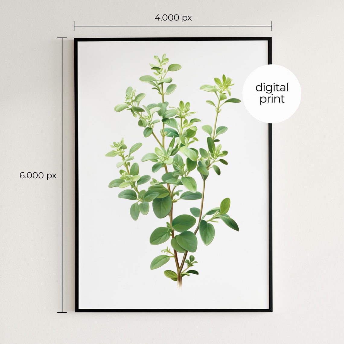Thyme Sprig Vintage Botanical Herb Illustration Minimal Kitchen Print - Image 2