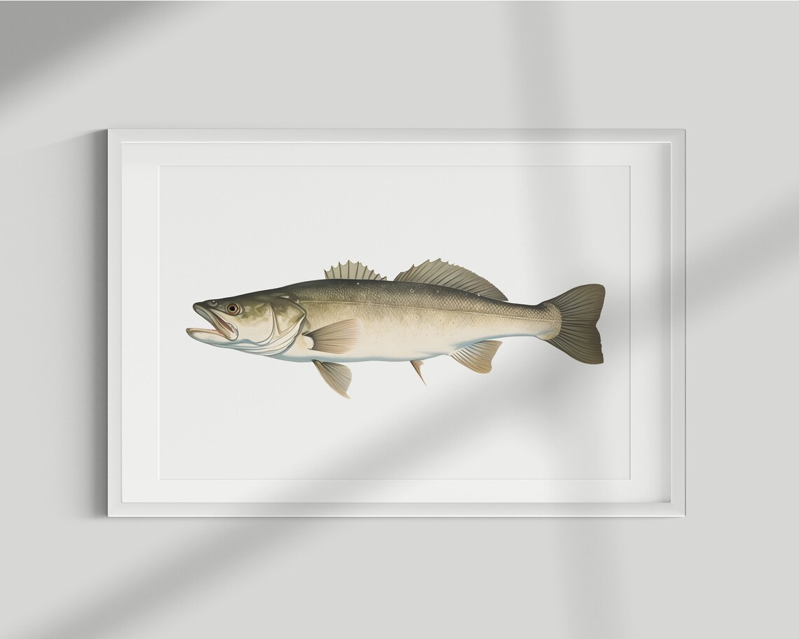Haddock Vintage Illustration Art Print, Fish Poster