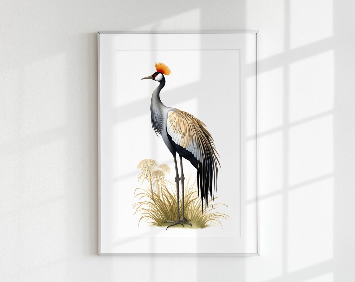 Crowned Crane Botanical Bird Guide Art Print