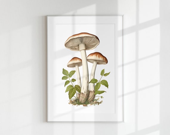 Button and Portobello Mushroom Botanical Guide Art Print