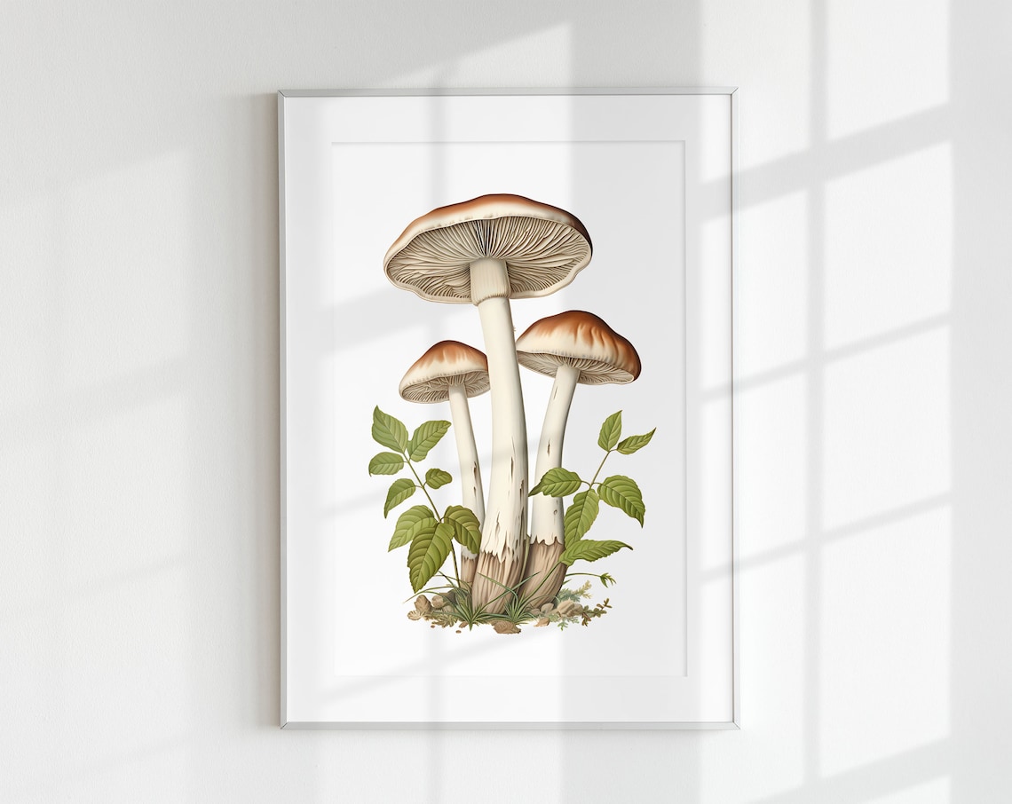 Button and Portobello Mushroom Botanical Guide Art Print