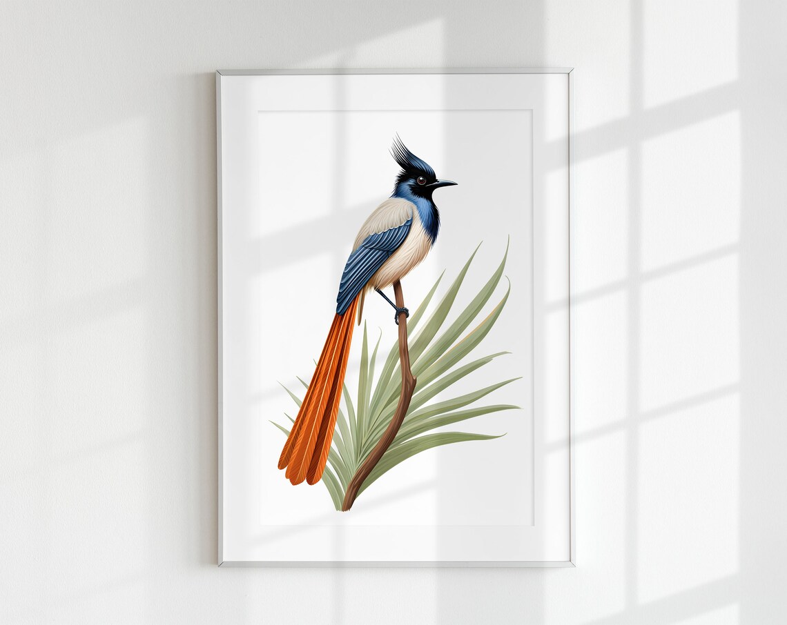 Paradise Flycatcher Botanical Guide Art Print