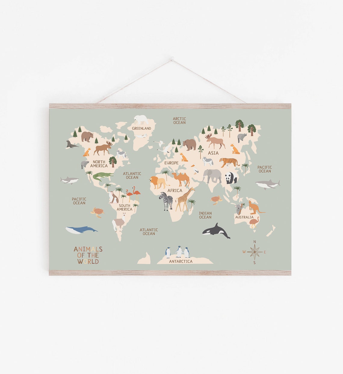 Animals Of The World Sage Nursery World Map Educational Poster Decor - Image 4
