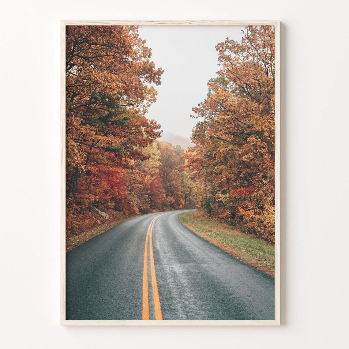 Country Road Lined With Brilliant Autumn Fall Foliage Photo Poster