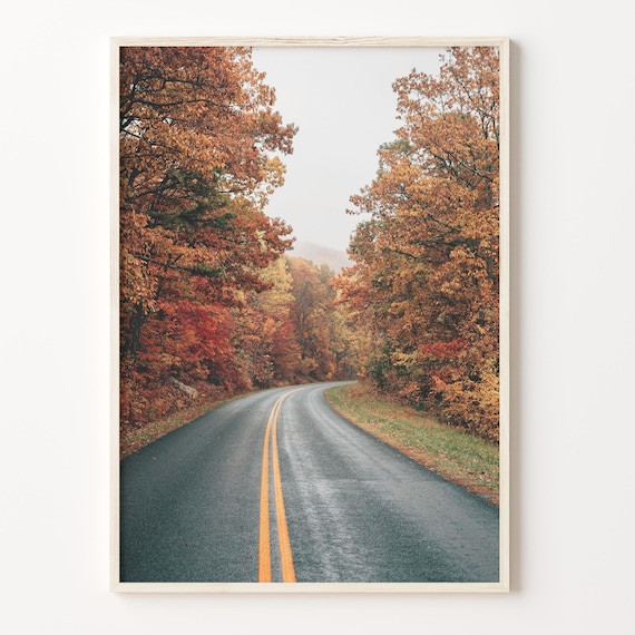 Country Road Lined With Brilliant Autumn Fall Foliage Photo Poster