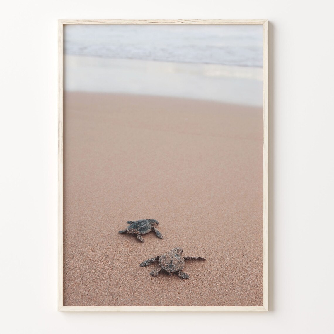 Baby Turtles Colorful Poster Print Baby Turtles Photo Wall Art Wall Art Boho Decor Colorful Wall Art Photography Poster Print C18 112