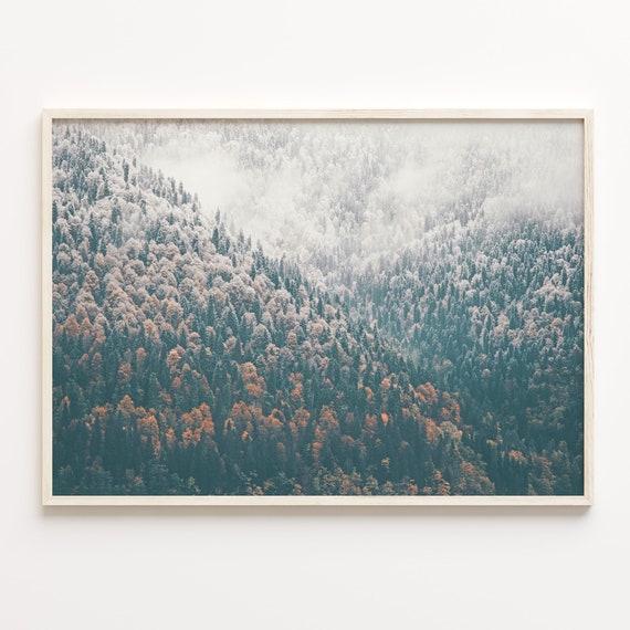 Needle Forest And Foggy Lake Colorful Poster Print Forest And Lake Photo Art Art Boho Decor Colorful Wall Art C18 270