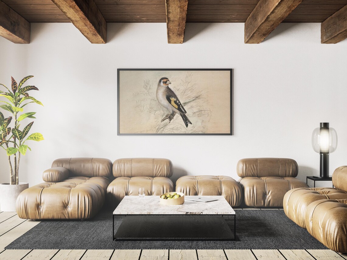 European Goldfinch Perched on a Branch Vintage Bird Illustration Print - Image 4