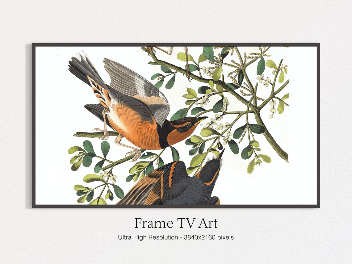 Spring Bird Illustration, Seasonal Wall Art Print