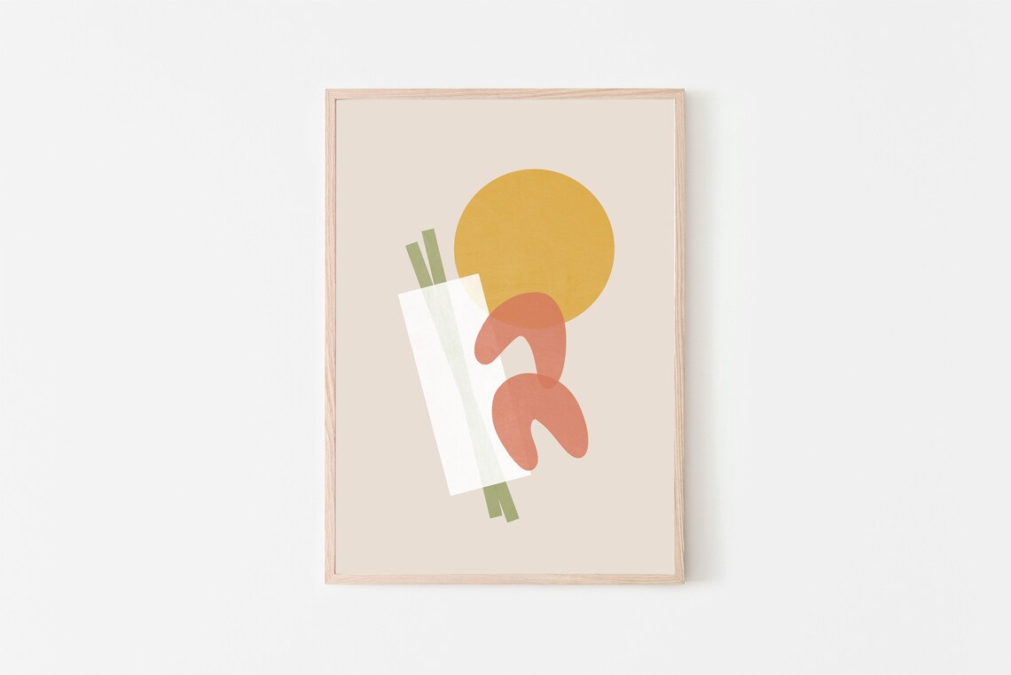 Goi Cuon Vietnamese Springroll Art Print