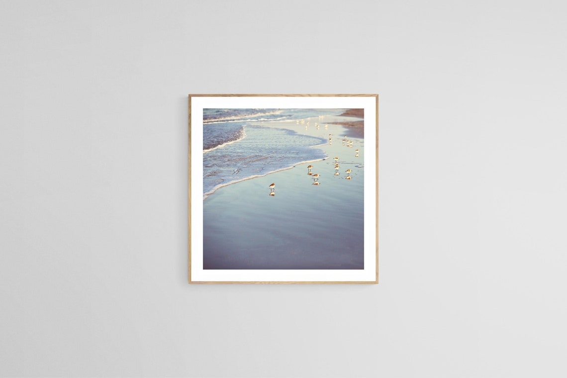 Bird Print, Beach Photography Nature Photography