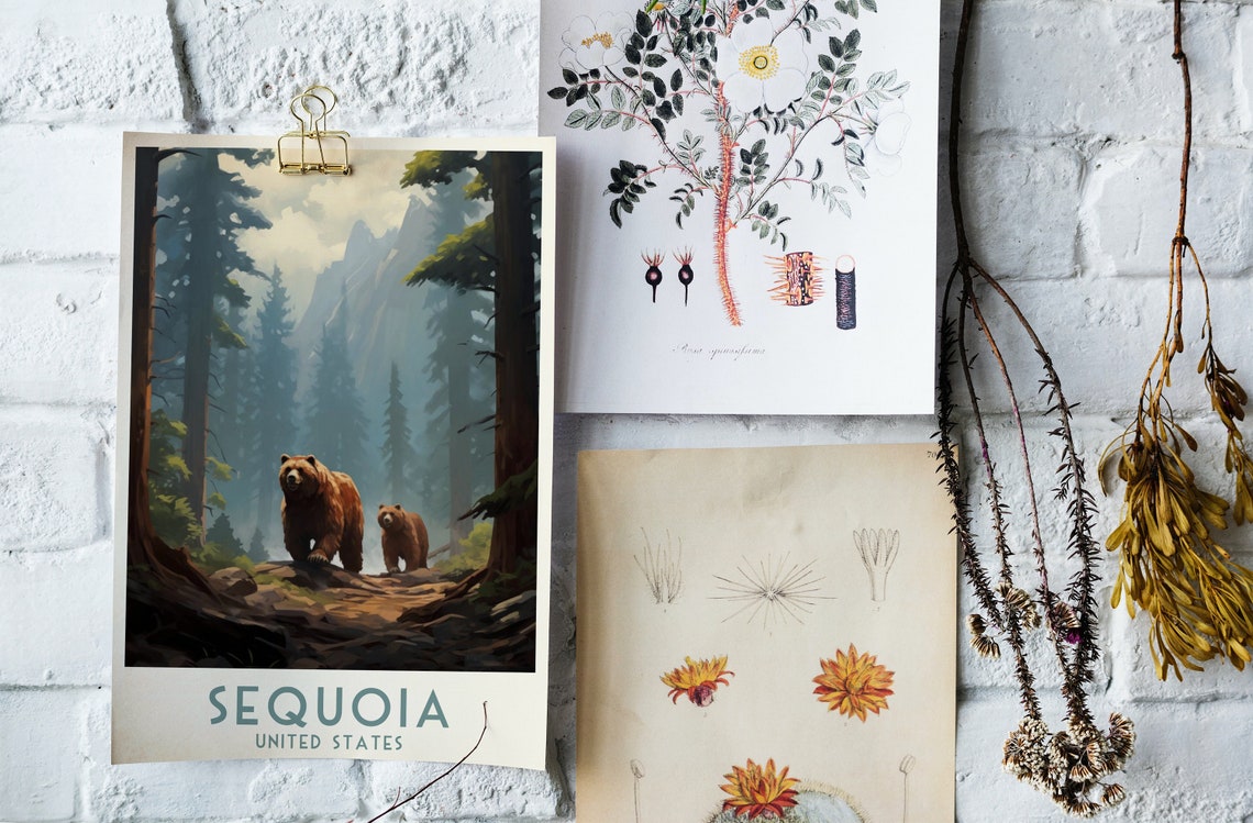Sequoia Redwood Forest Scene with Two Bears Travel Poster Art - Image 4