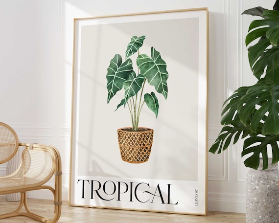 Tropical Alocasia Plant Print Colourful Leaves Wall Art Botanical Rainforest Poster Wild Nature Foliage Living Room Home Decor