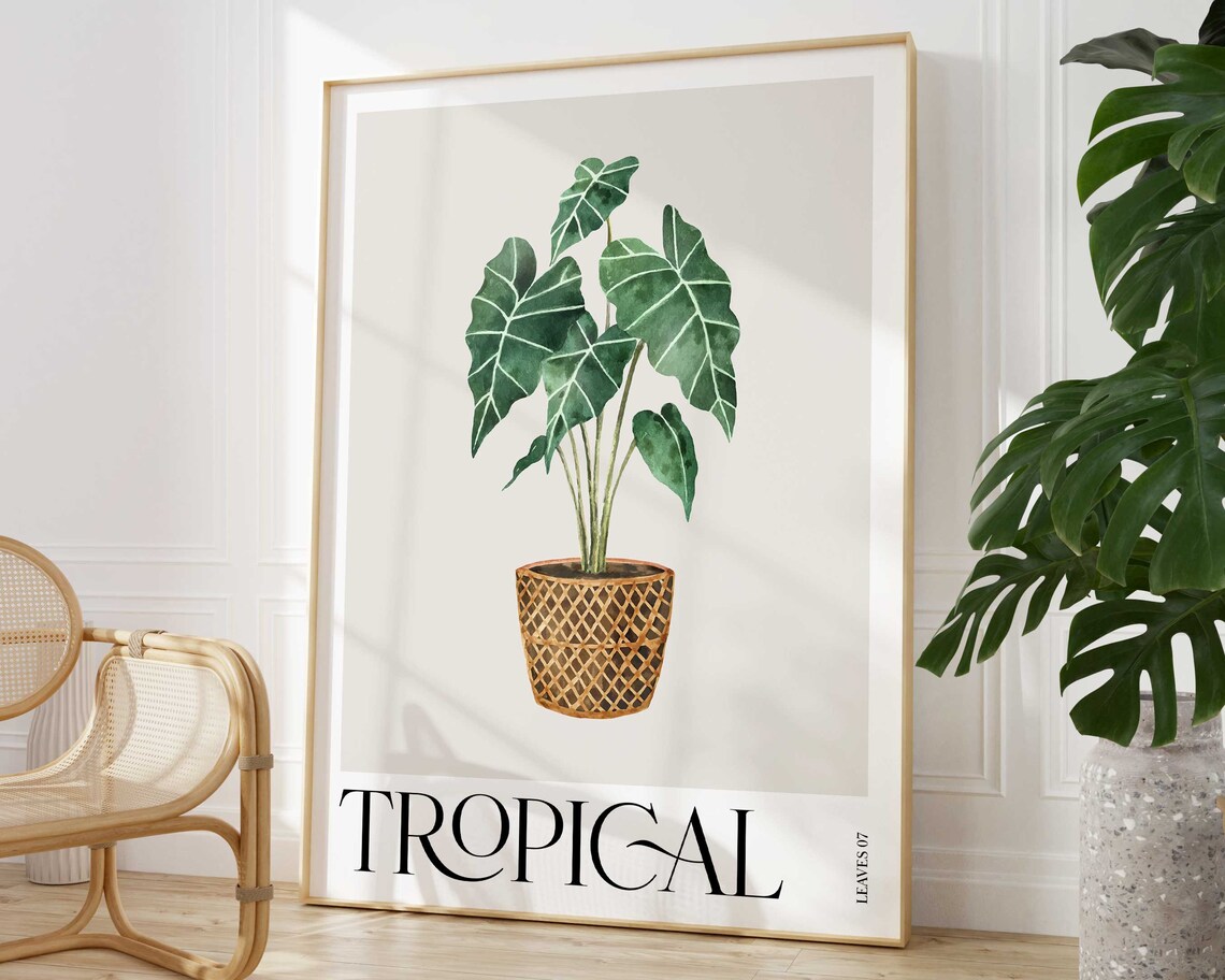 Alocasia Tropical Plant in Woven Rattan Pot Botanical Leaves Print