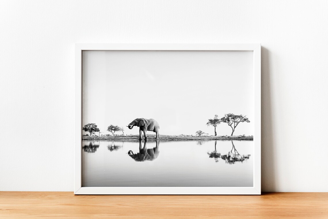 Elephant Photo, Safari African Animal Art Print