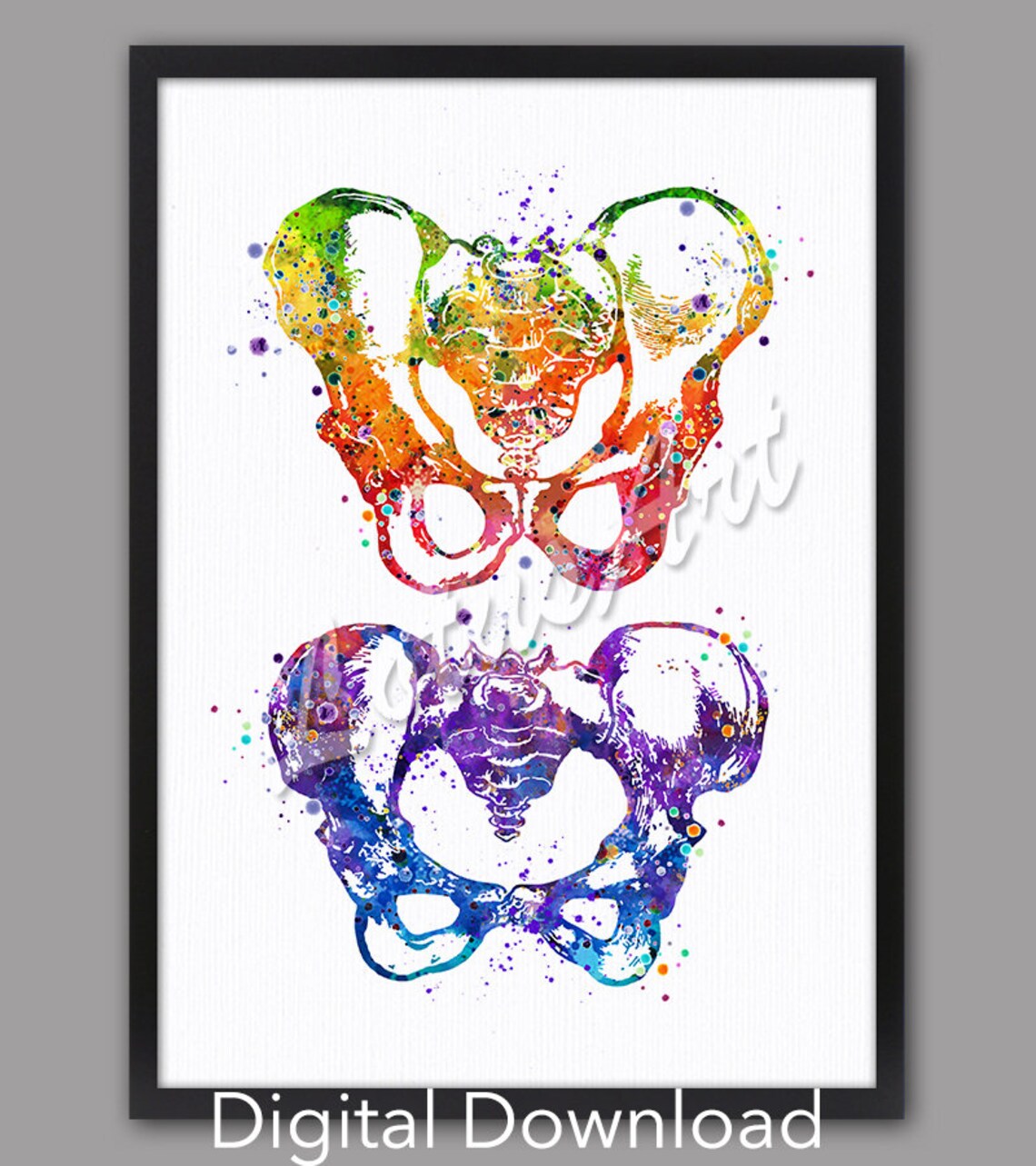 Pelvis Watercolor Art Print, Medical Anatomy Decor