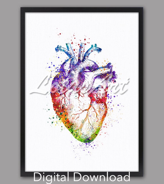 Heart Anatomy Watercolor Art Print, Medical Office Decor