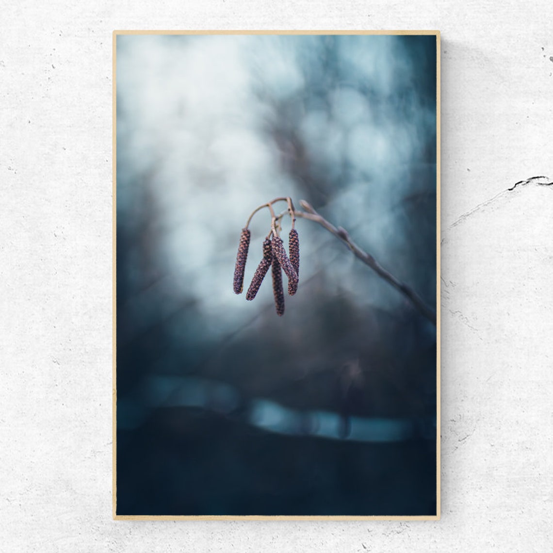 Hazel Catkins Hanging on a Bare Branch in Winter Light Poster - Image 2