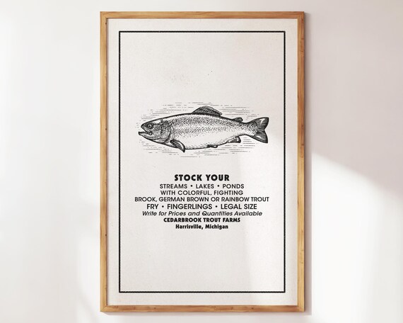 Stock Your Trout Cedarbrook Trout Farms Vintage Fish Ad Poster