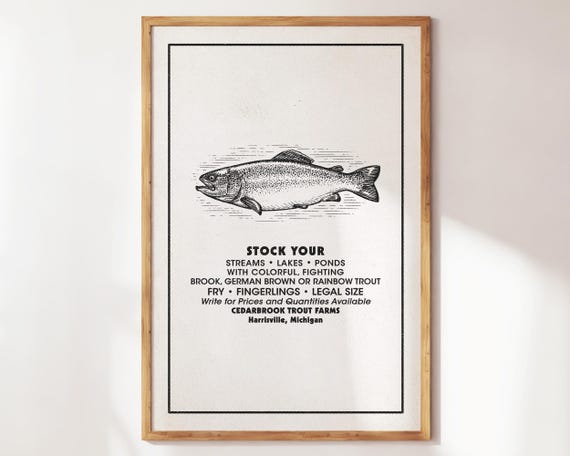 Stock Your Trout Fishing Poster Retro Fisherman Wall Art Gift For Fishermanfishing Enthusiast Vintage Lover Print